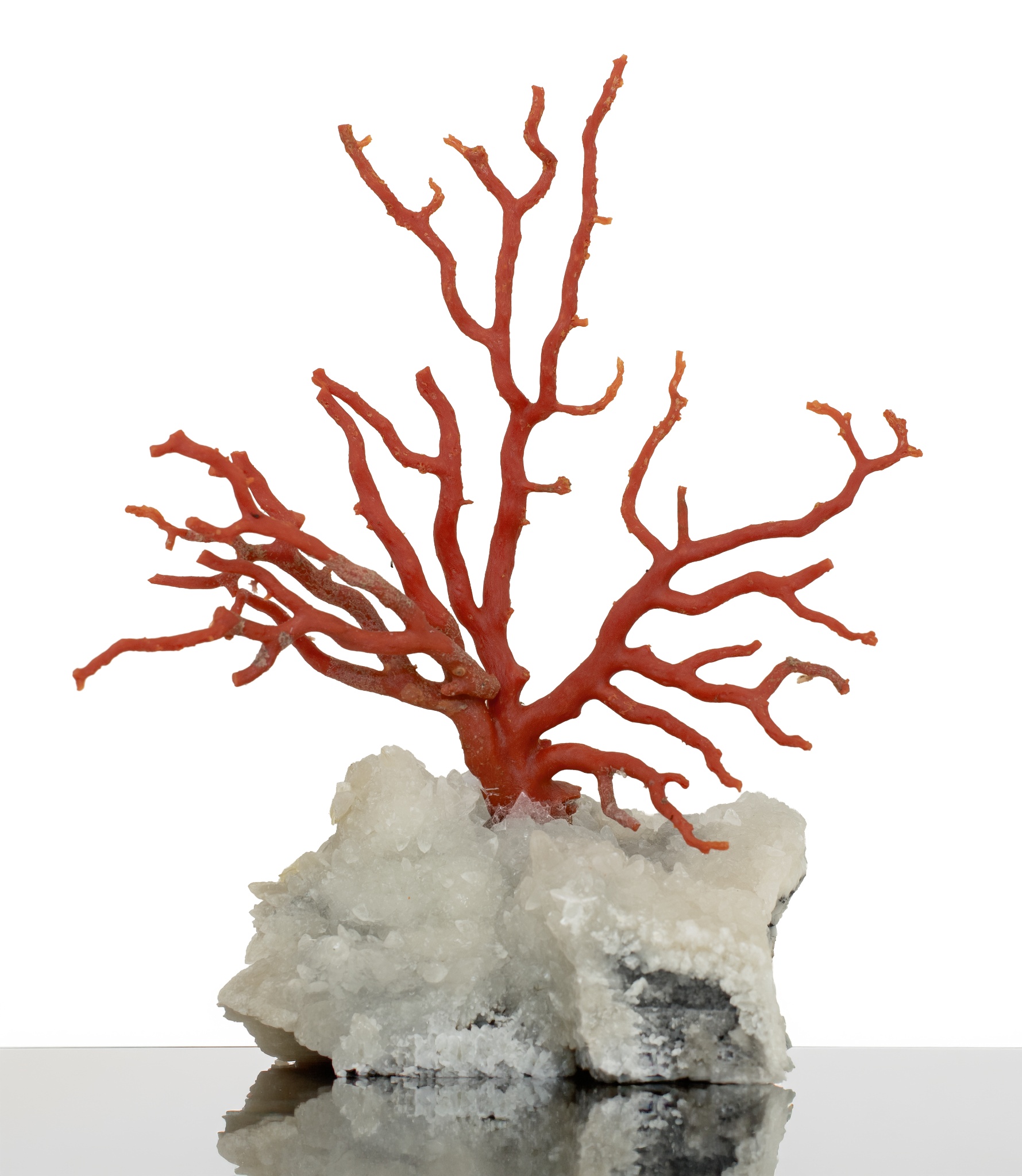 Natural Coral Branch Necklace
